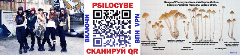 Псилоцибиновые грибы Psilocybe  Дальнереченск 